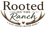 final site logo (color)