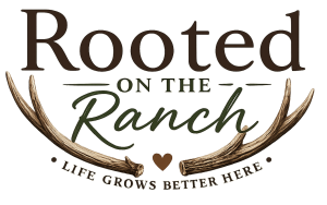 final site logo (color)